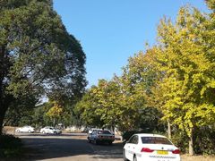 -胜华驾校·小猫学车(银都店)