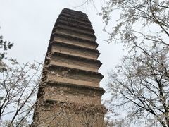 -西安博物院