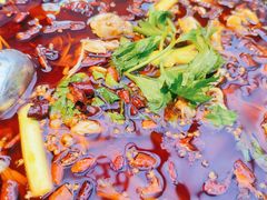 -蛙鱼潭美蛙鱼头火锅(解放碑瑞富广场店)