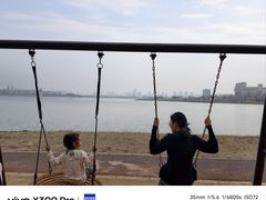 -九龙湖公园