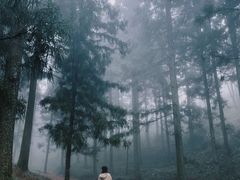-溪口商量岗景区