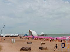 -碧海金沙