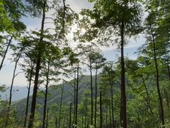 -莫干山风景区