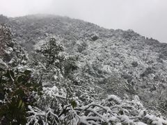 景点-杭州半山国家森林公园