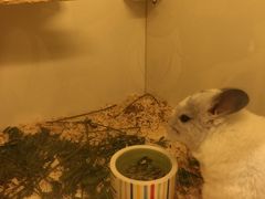 -龙猫仔乐园(惠福东路店)