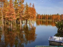 -白鹭湾湿地公园