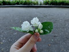 -幸福西饼生日蛋糕·下午茶(番禺店)