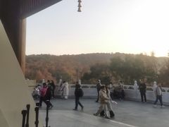 -西湖游船