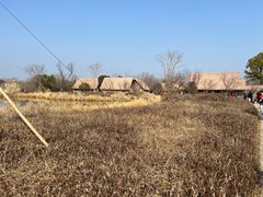 -良渚古城遗址公园