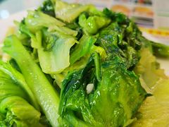 生菜-澳门陈光记烧味饭店(万象城店)