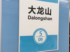 -大龙山(地铁站)
