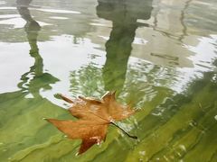 -和园景逸大酒店朗月汤泉