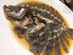 双椒多宝鱼-眉州东坡(民族园店)
