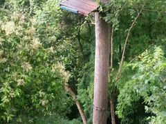 -芦仙山景区-飞越丛林探险乐园