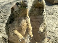 -水上乐园·欢乐世界