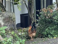 -木子山庄·安徽省老字号·中国炖锅宴