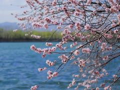 -颐和园