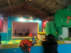 -恐龙探索乐园(磁器口店)