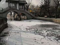 -团结湖公园