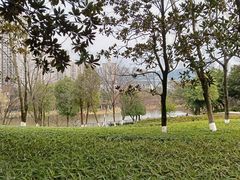 -沐仙湖湿地公园