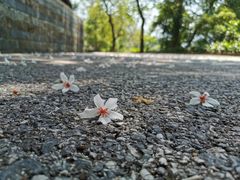 -广州市流溪河国家森林公园