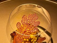-地球美食剧场