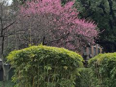 -浙江大学(玉泉校区)