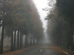 -山王坪喀斯特国家生态公园