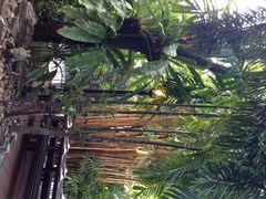 iphone_upload_pic-月满港海鲜酒家