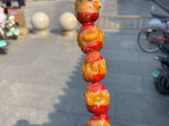 -糖葫芦王保定名吃(古莲花池店)