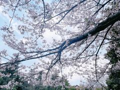 -堤角公园