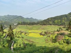 -灵山景区梯田