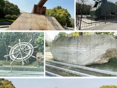 -上海吴淞炮台湾国家湿地公园