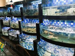 水产区-西陵饭店