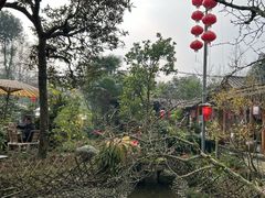 -青城甲(青城山店)