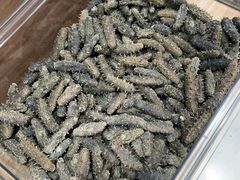 -宫品海参专卖店(静安大宁店)