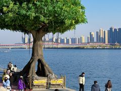 -咸阳湖景区-统一广场