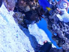 -上海海昌海洋公园