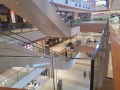 -西树泡芙(北京密云万象汇店)