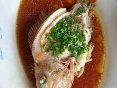 清蒸鱼-黄埔华苑酒家(黄埔总店)