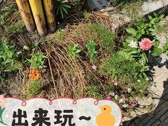 -得丘礼享谷·玉兰苑