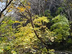 -北京凤凰岭
