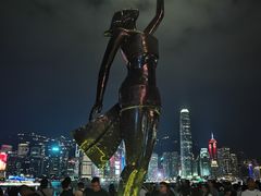 -星光大道