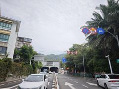 -南普陀素菜馆