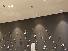 -温度铁板烧(前进大街店)