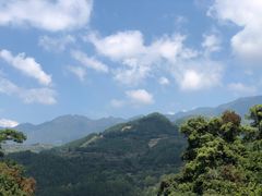 -杨家堂村