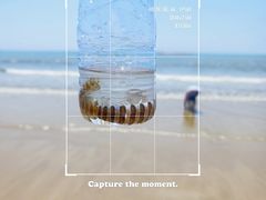 -六鳌翡翠湾滨海度假景区