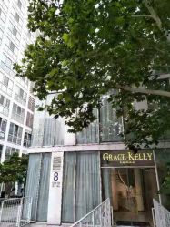 点击看大图 -GRACE KELLY婚纱与礼服(北京店)