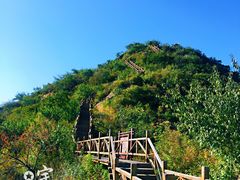 -大岭沟猕猴桃谷风景区