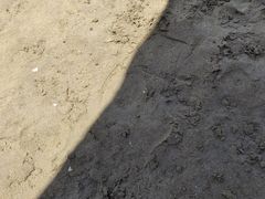 -台山黑沙湾海浴场
